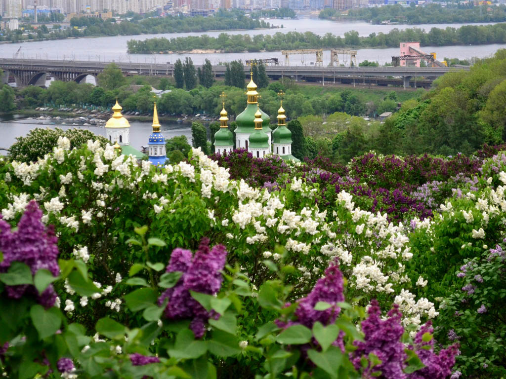 ВРЕМЕННАЯ РЕГИСТРАЦИЯ КИЕВ